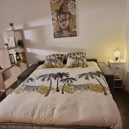 Studio Centre Apartment Le Cannet